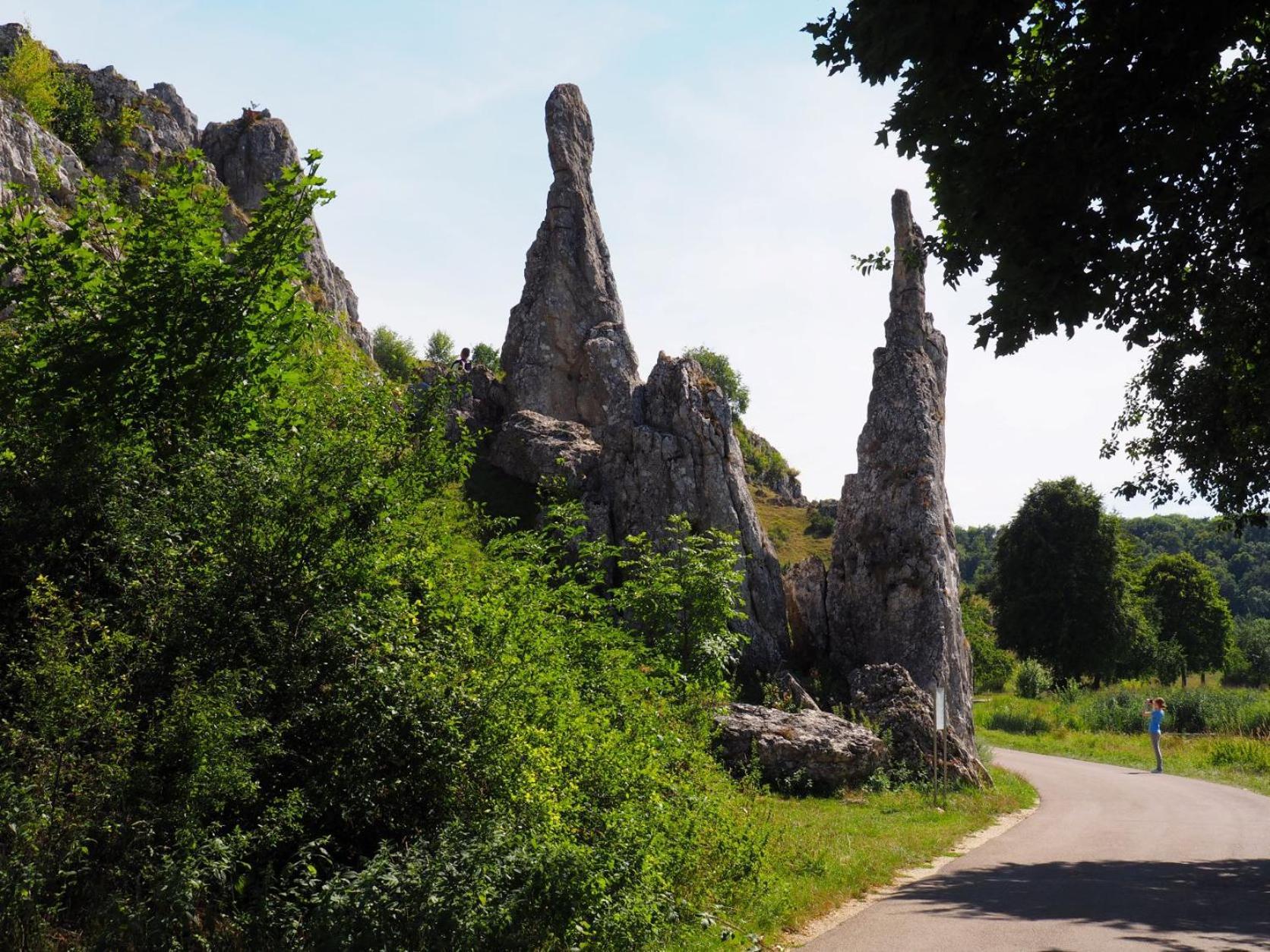 Ferienwohnung Pension Waldblick ไฮเดนไฮม์ อันแดร์ เบรนซ์ ภายนอก รูปภาพ
