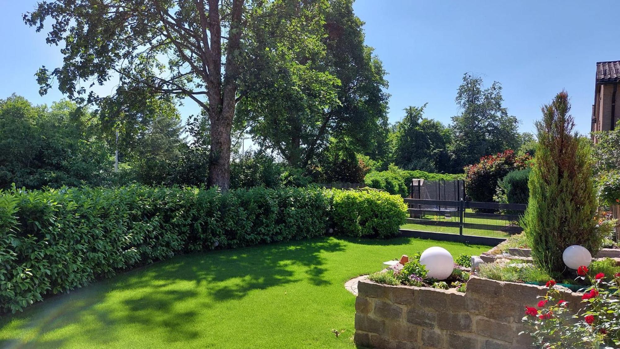 Ferienwohnung Pension Waldblick ไฮเดนไฮม์ อันแดร์ เบรนซ์ ภายนอก รูปภาพ