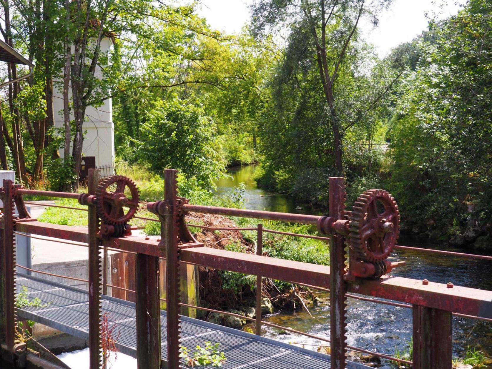 Ferienwohnung Pension Waldblick ไฮเดนไฮม์ อันแดร์ เบรนซ์ ภายนอก รูปภาพ